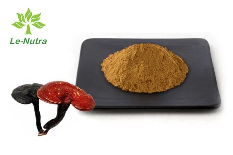 Ganoderma Lucidum prah